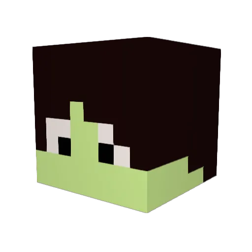 penguinisland Minecraft avatar head, 3D render