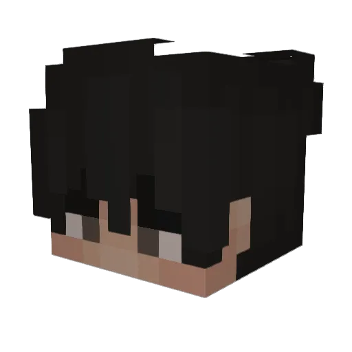 penguinleo_ Minecraft avatar head, 3D render
