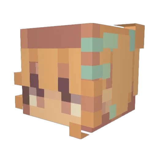 penguinlover207 Minecraft avatar head, 3D render