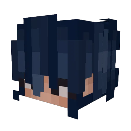 penguino3224 Minecraft avatar head, 3D render