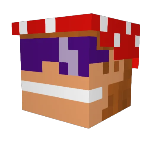 penguino6971 Minecraft avatar head, 3D render