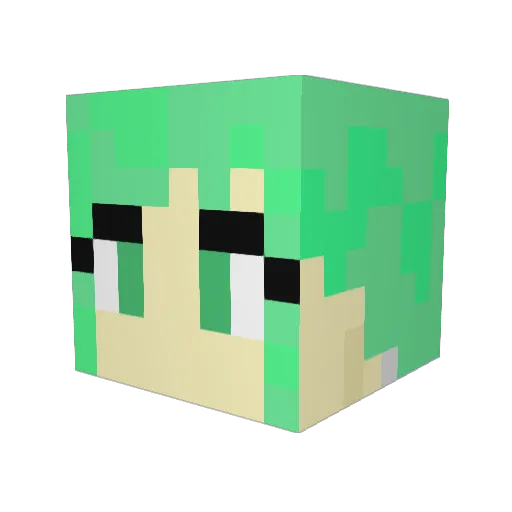 penguinpatch Minecraft avatar head, 3D render