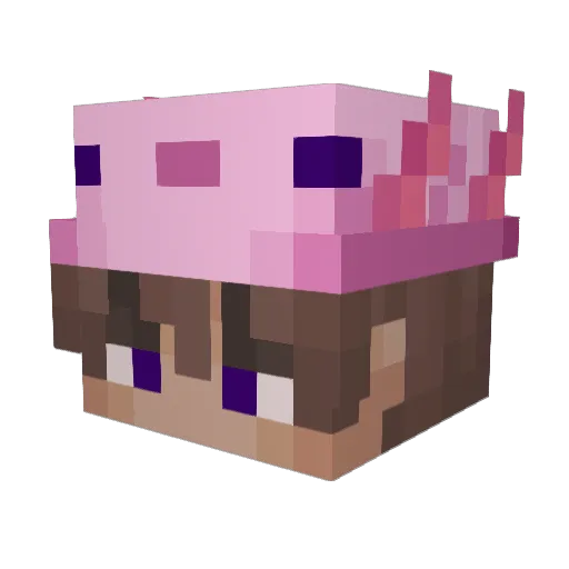 penguins_cookie Minecraft avatar head, 3D render