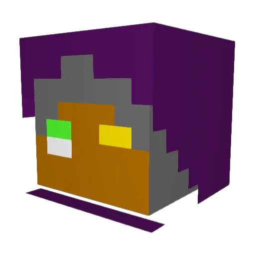 penguinsarefun Minecraft avatar head, 3D render
