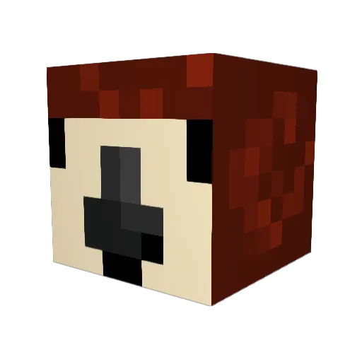 penguinx2x2 Minecraft avatar head, 3D render