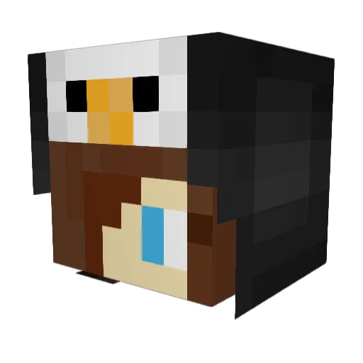 penguinz431 Minecraft avatar head, 3D render