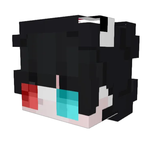 pengulove Minecraft avatar head, 3D render