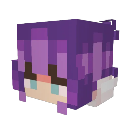 penguw Minecraft avatar head, 3D render