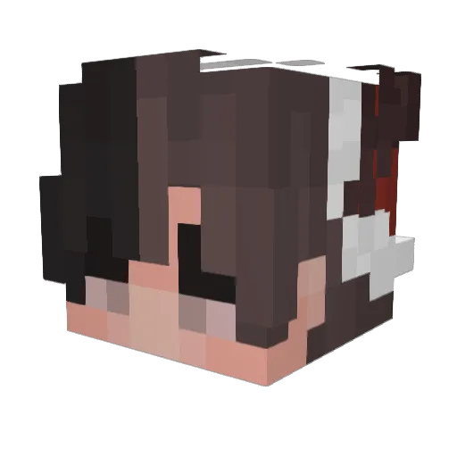 penno1979 Minecraft avatar head, 3D render