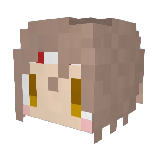 pennogin Minecraft avatar head, 3D render