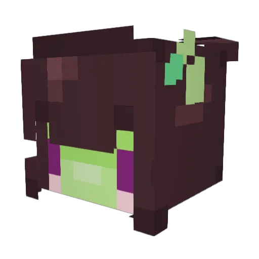 pennwrigate Minecraft avatar head, 3D render
