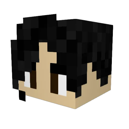 penny4pres Minecraft avatar head, 3D render