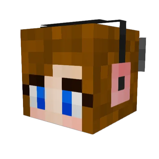 penny653 Minecraft avatar head, 3D render