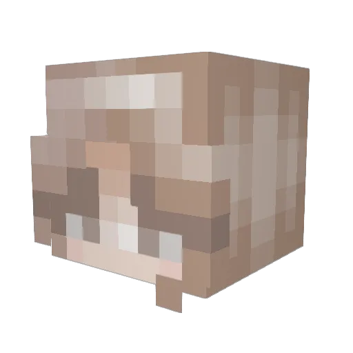 pennyblossom Minecraft avatar head, 3D render