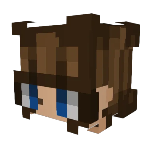 pennytration655 Minecraft avatar head, 3D render