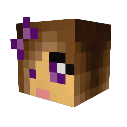 penozland Minecraft avatar head, 3D render