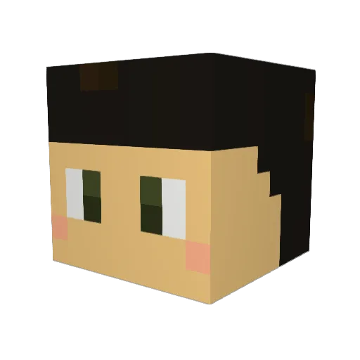 penta95 Minecraft avatar head, 3D render