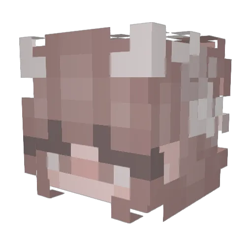 pentagui Minecraft avatar head, 3D render