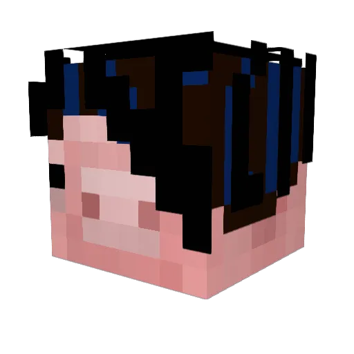 penuts331 Minecraft avatar head, 3D render