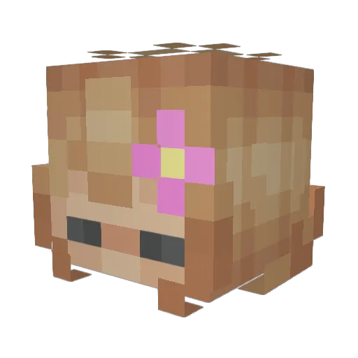 peonypot Minecraft avatar head, 3D render
