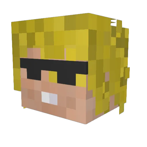 pepe114514 Minecraft avatar head, 3D render