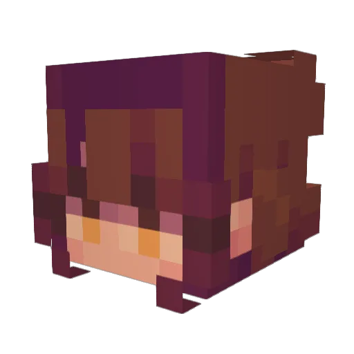 pepe2523 Minecraft avatar head, 3D render