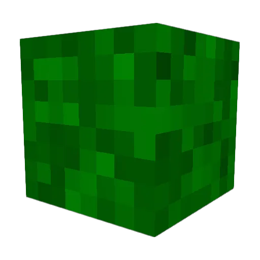 peperinoplis Minecraft avatar head, 3D render