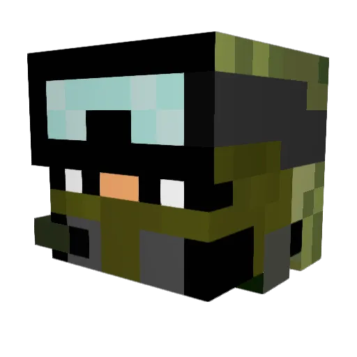 pepethefrog12345 Minecraft avatar head, 3D render