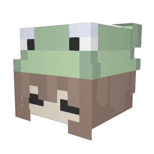 pepethefrog4 Minecraft avatar head, 3D render