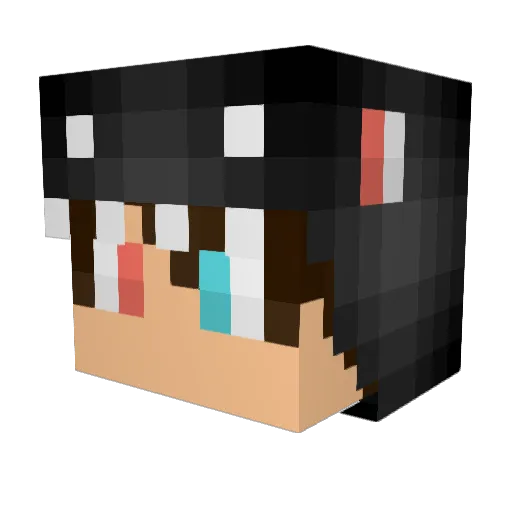 pepgamerpro Minecraft avatar head, 3D render