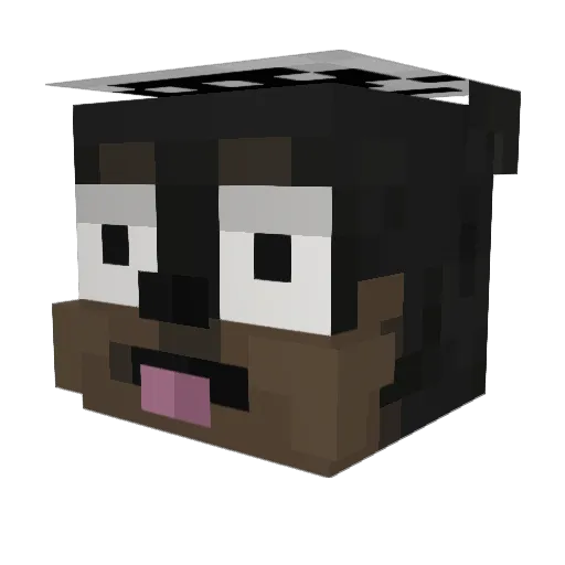 pepino81 Minecraft avatar head, 3D render