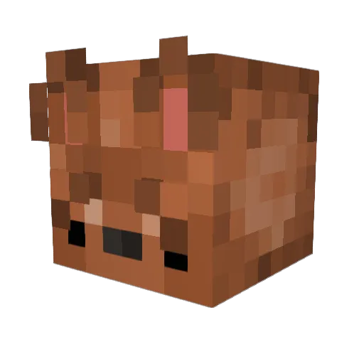 pepitobun Minecraft avatar head, 3D render