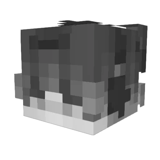 pepitoelgrisho Minecraft avatar head, 3D render