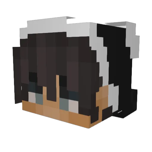 peppaaaapig Minecraft avatar head, 3D render