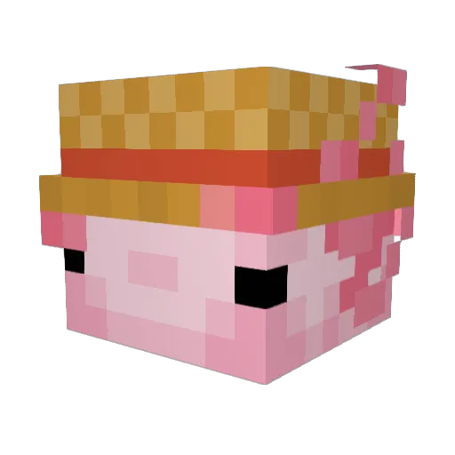pepparrot Minecraft avatar head, 3D render