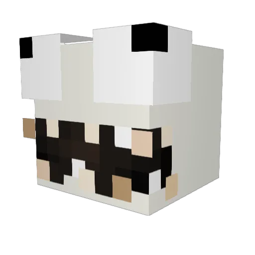 peppercold Minecraft avatar head, 3D render