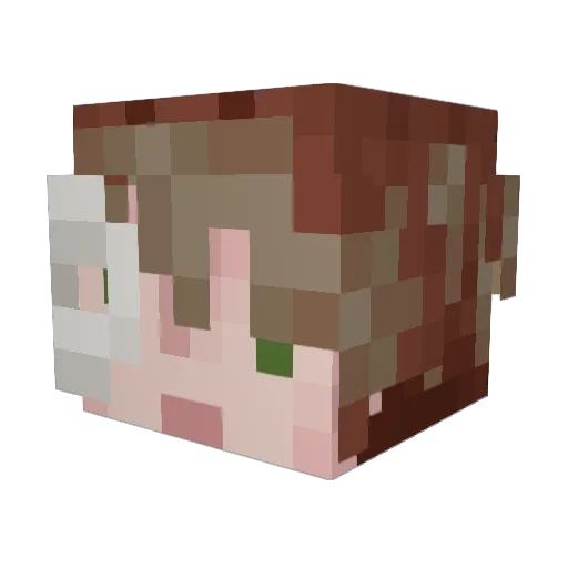 pepperoniuser4 Minecraft avatar head, 3D render