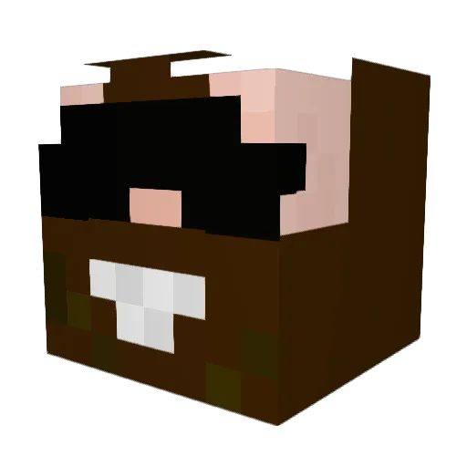 pepperot Minecraft avatar head, 3D render