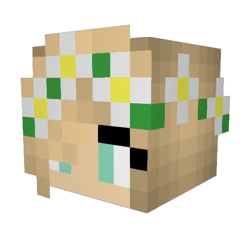 pepperpot51 Minecraft avatar head, 3D render
