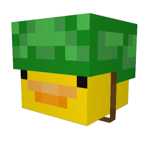 peppewutz Minecraft avatar head, 3D render