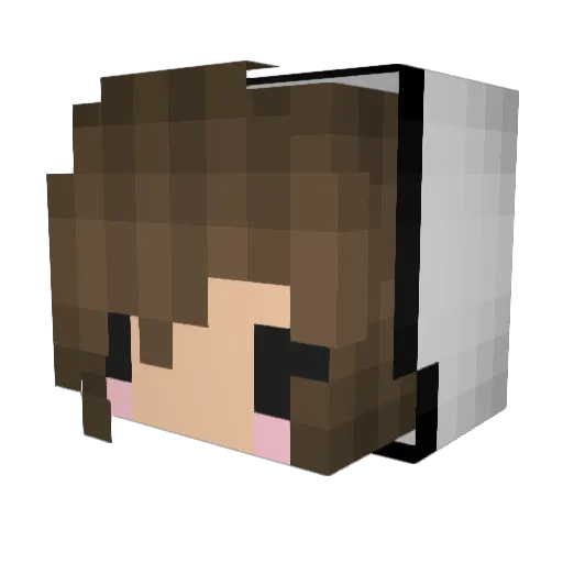 peppovisk Minecraft avatar head, 3D render