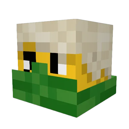 peppyk Minecraft avatar head, 3D render