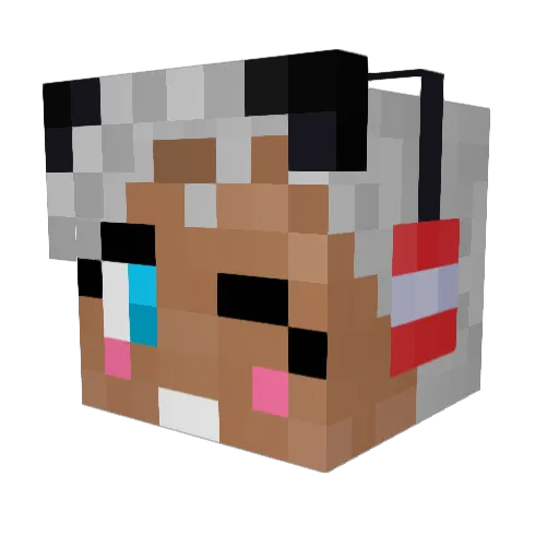 pepsidealer Minecraft avatar head, 3D render