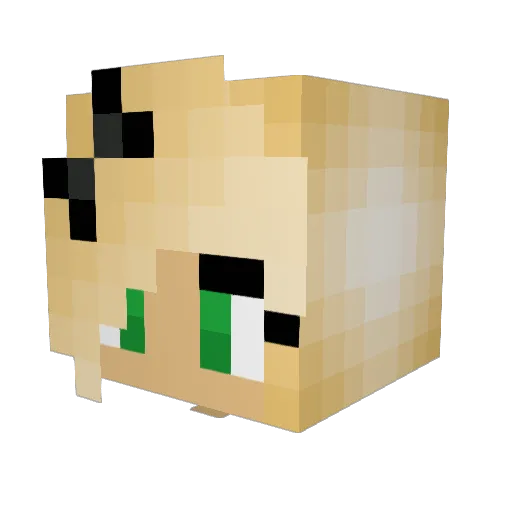 pepsilove123 Minecraft avatar head, 3D render