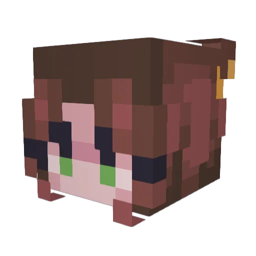 pepsimax3000 Minecraft avatar head, 3D render