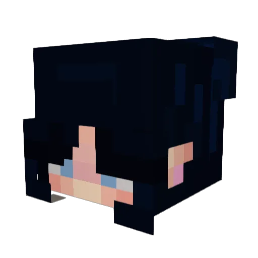 pepsimaxiscool Minecraft avatar head, 3D render
