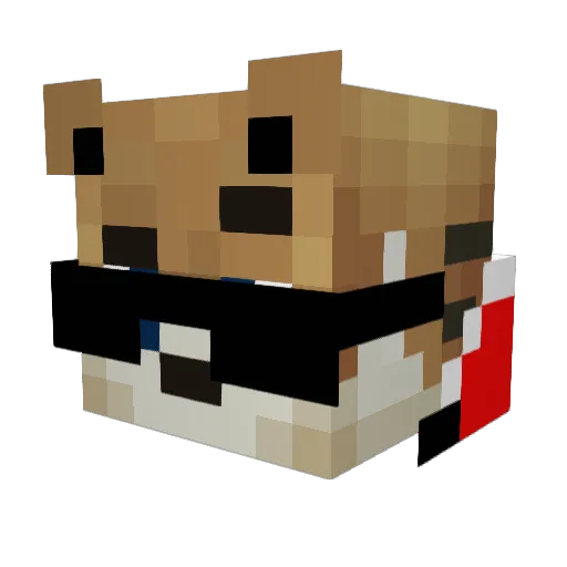 pepy27 Minecraft avatar head, 3D render