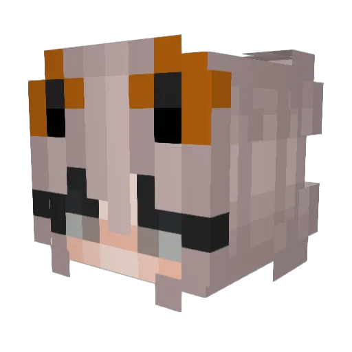 pepzera Minecraft avatar head, 3D render