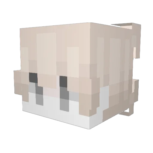 percep9tualHuma Minecraft avatar head, 3D render