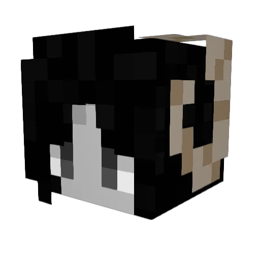 perch04 Minecraft avatar head, 3D render